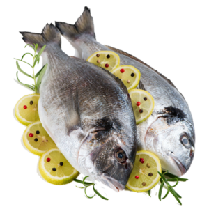 Fresh Fish