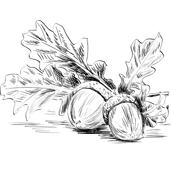 Utanu