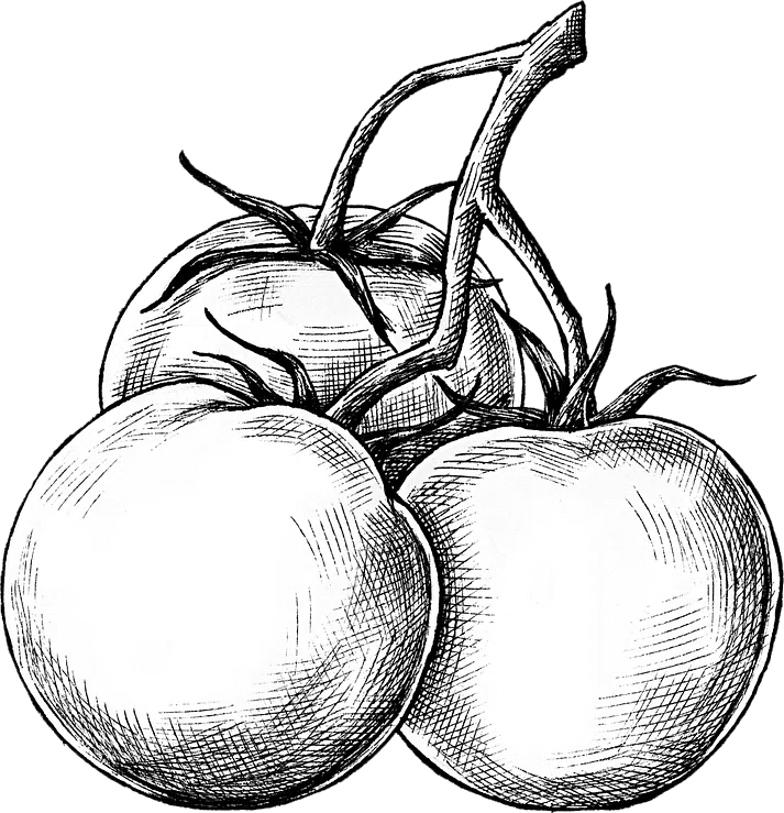 Utanu